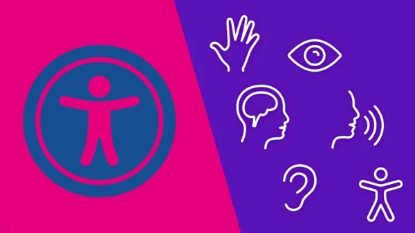 declaracion ded accesibilidad